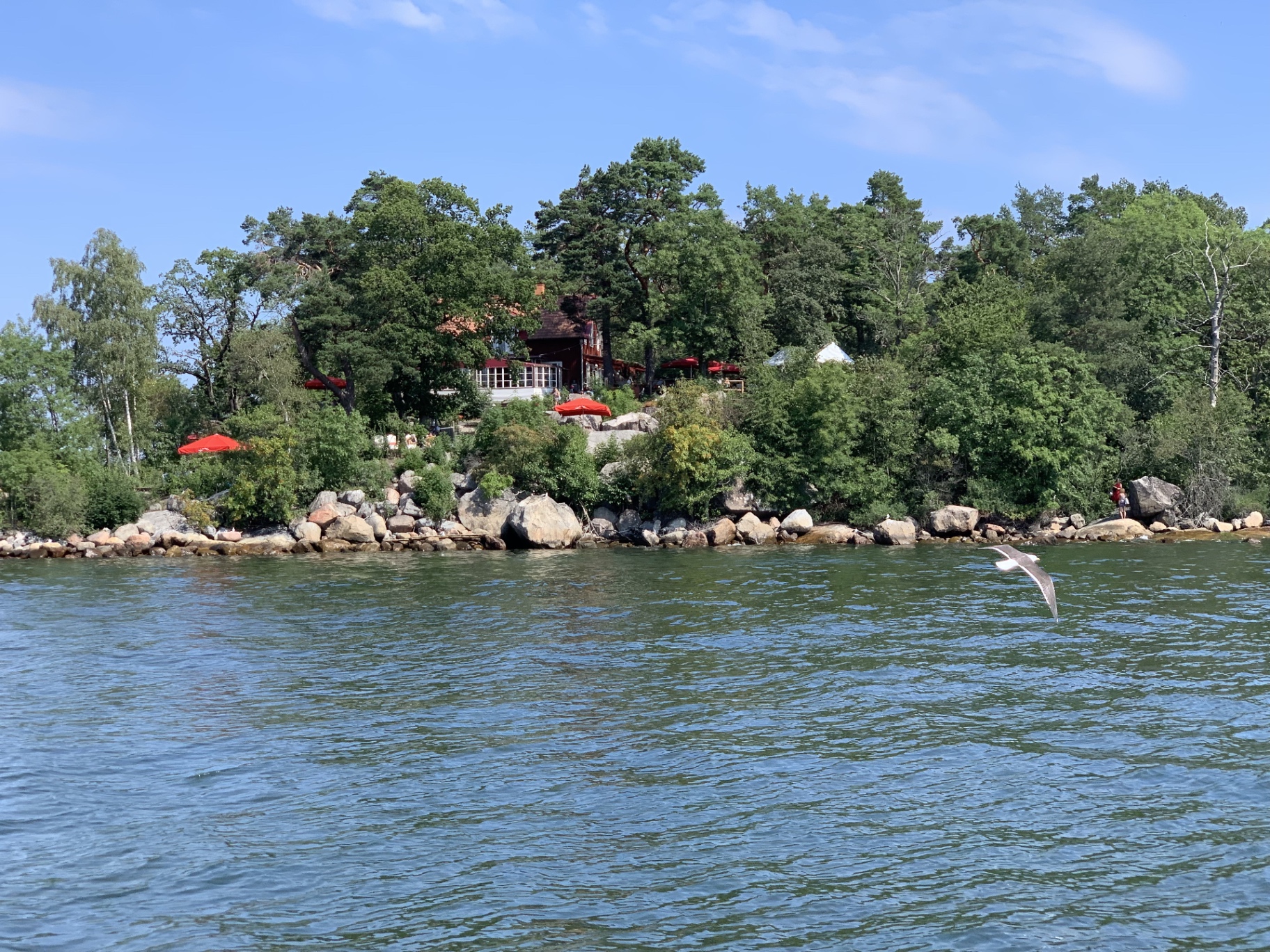 Fjäderholmarna sommar